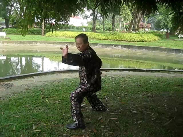 Shaolin 72 Chin-Na Techniques 2015